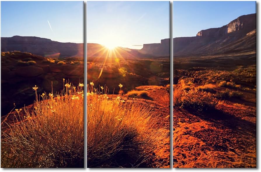 Amazon.com: 3 Panels American Landscapes Wall Art Prairie and