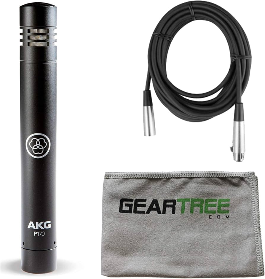Amazon.com: AKG P170 Small Diaphragm True Condenser Studio
