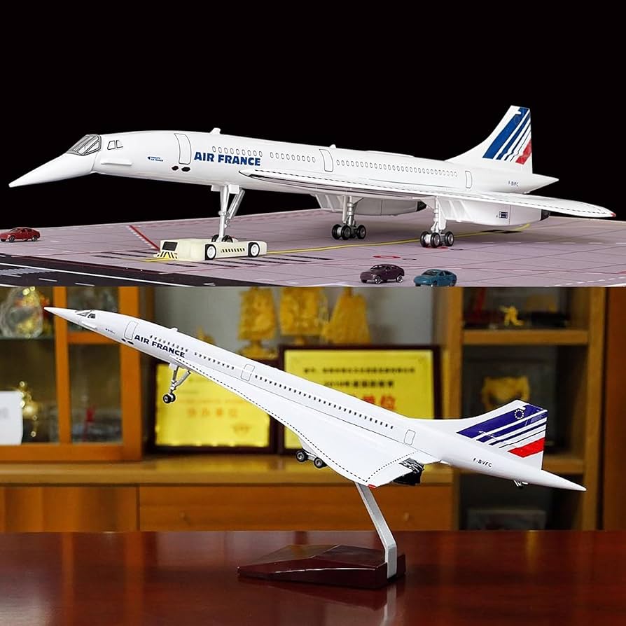 Amazon.co.jp: コンコルド 1:125 スケール 19.7 インチ 模擬完成品