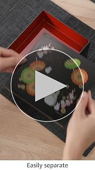 Amazon.com: Studio Ghibli - My Neighbor Totoro - Totoro, Skater