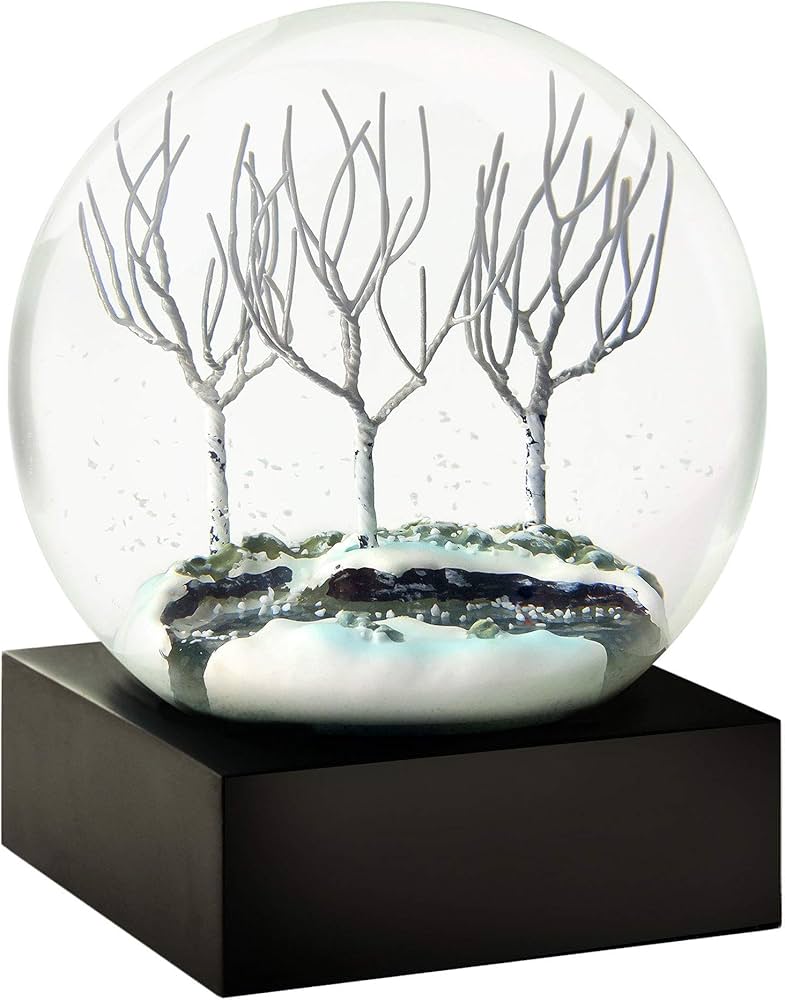 Amazon.co.jp: CoolSnowGlobes スノードーム 四季 ブラック BT230_WINT