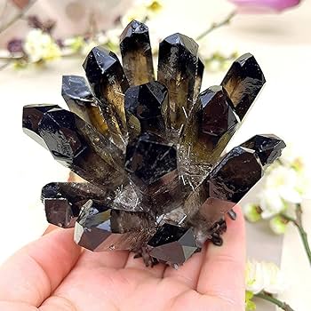 71JN0bmXnRL._AC_UF350,