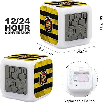 71JPKaG0RkL._AC_UF350,