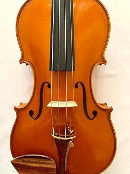 Amazon | Émile Ravier 4/4バイオリン フランス製 虎杢 bleuet