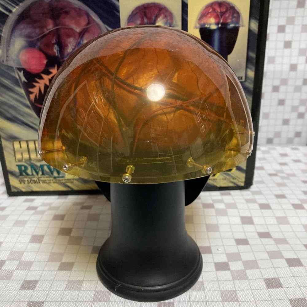 Amazon.co.jp: レインボー造型企画 1/2スケールマスク RMW 人造人間