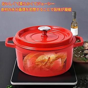 Amazon.co.jp: 鋳物ホーロー鍋 鋳鉄鍋 両手鍋 鋳物 無水調理鍋 22/24