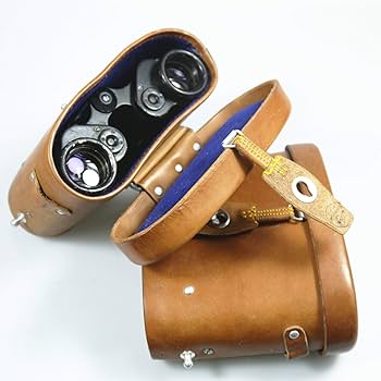 71Jyy4kw8IL._AC_UF350,