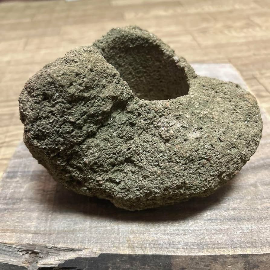 Amazon.co.jp: 山渓鉢 一点モノ 軽石鉢 溶岩石 植木鉢 盆栽 多肉植物