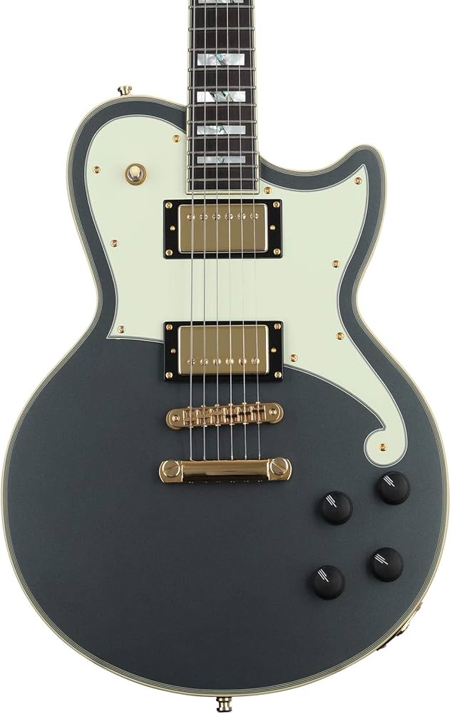 Amazon | D'Angelico Deluxe Atlantic Limited Edition, Matte Surf