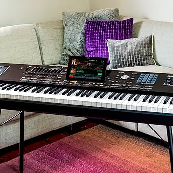 Amazon.com: Korg 76-Key Pa5X Professional Arranger Bundle with