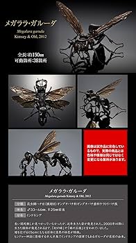 Amazon | いきもの大図鑑アドバンス スズメバチ 02 ディスプレイ