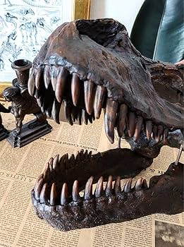 Amazon.co.jp: ティラノサウルス インテリアオブジェ 恐竜の化石