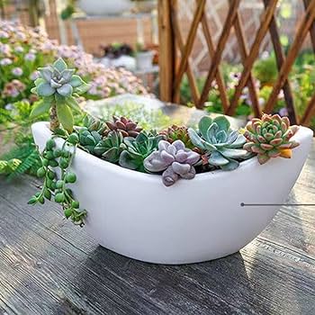 Amazon.co.jp: [ADSNS] 植木鉢 サボテン鉢 プランター 三日月の植木鉢