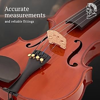 Amazon.com: STENTOR Violin, 右用, Braun, 4/4 (1018A) : Musical