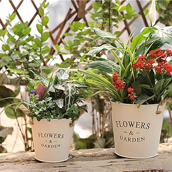 Amazon.co.jp: [ADSNS] ブリキ鉢 多肉植物鉢 ブリキ缶 寄せ植え鉢