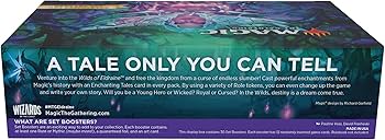 Amazon.co.jp: マジック・ザ・ギャザリング エルドレインの森 セット