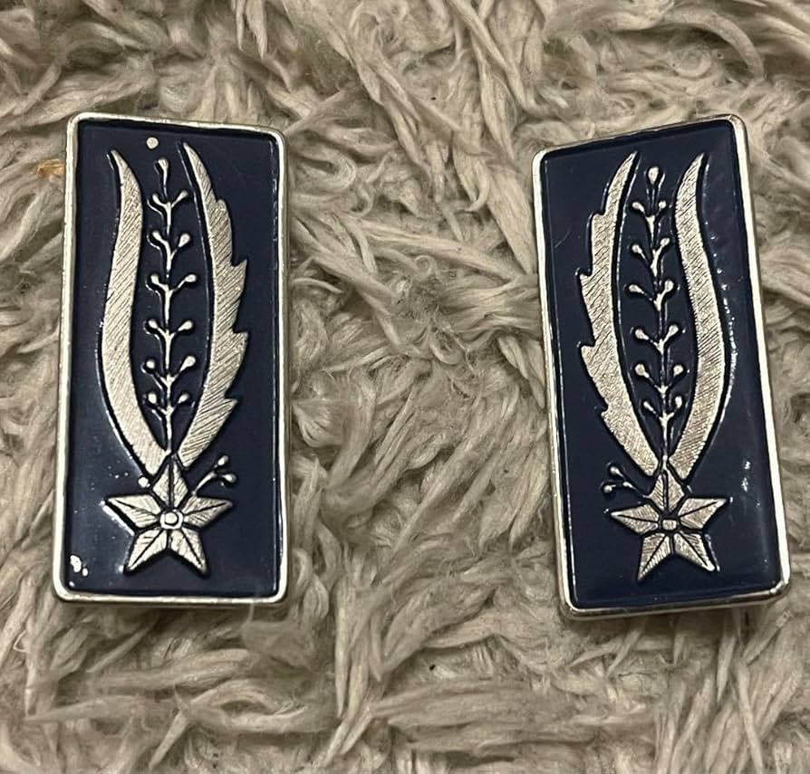 Amazon.co.jp: イタリア軍 襟章 戦闘服用 階級章 : おもちゃ