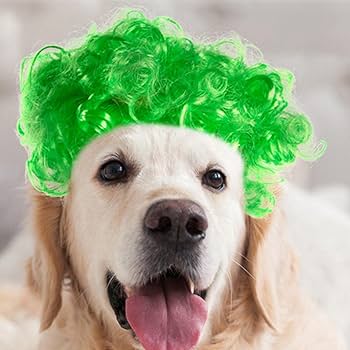 Amazon | 緑の犬のかつら、緑の猫のかつら | 面白いコスチュームの