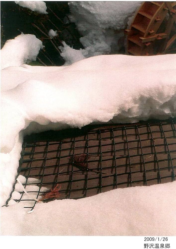 71M1aVRsLFL._AC_UF1000,