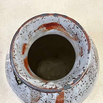 Amazon.co.jp: 桔梗屋窯 五代目 小三郎作 「志野竹文花瓶」共箱付き 高