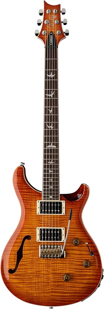 Amazon | SE Custom24 Semi-Hollow Piezo Vintage Sunburst | エレキ