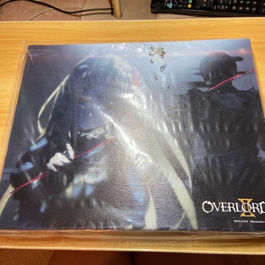 Amazon.co.jp: オーバーロードII F3 キャンバス ラナー02 CJJT : おもちゃ