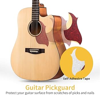 Amazon.co.jp: Donner アコースティックターセット 初心者セット