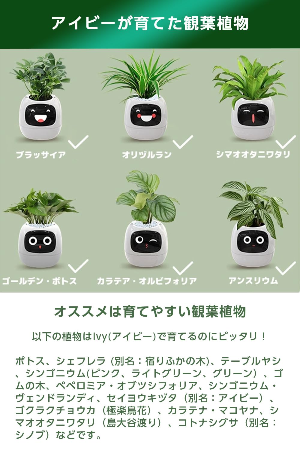 Amazon.co.jp: Ivyスマートプランター スマートケア＆スマートペット