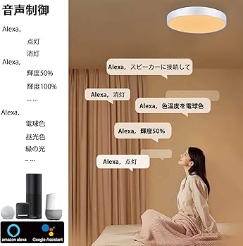 71MUMx4qkYL._AC_UF350,