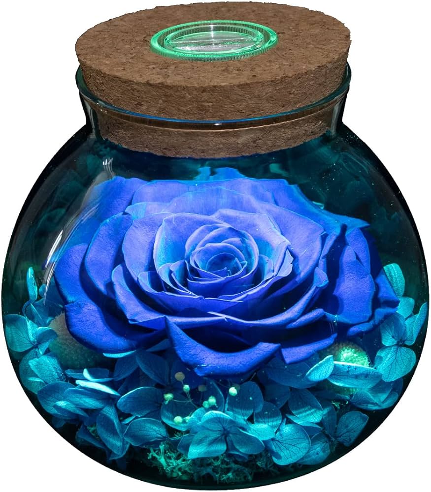 Amazon.com: roliys Preserved Real Roses with Colorful Mood Light