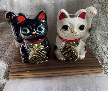 71MoVp1757L._AC_UF350,