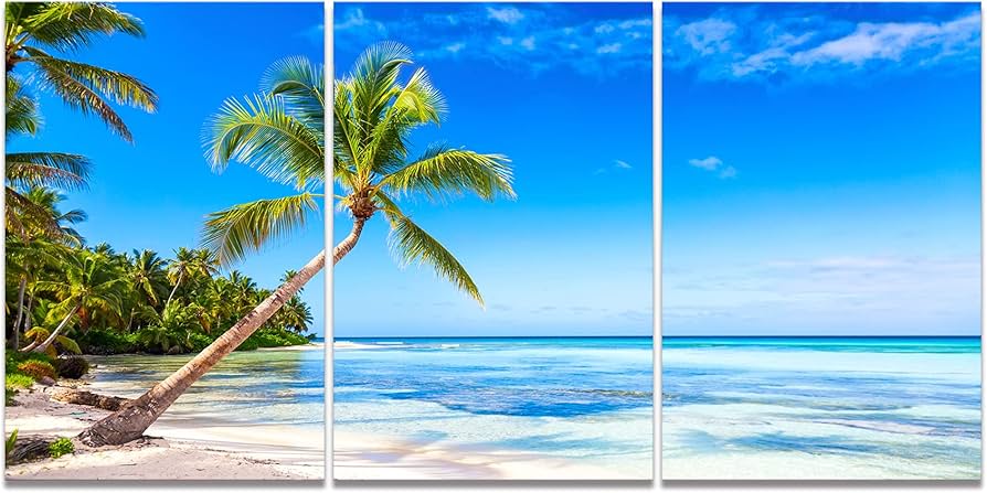Amazon.co.jp: アートパネル 3枚 海 ココナッツ壁の絵 ポスター 海の絵