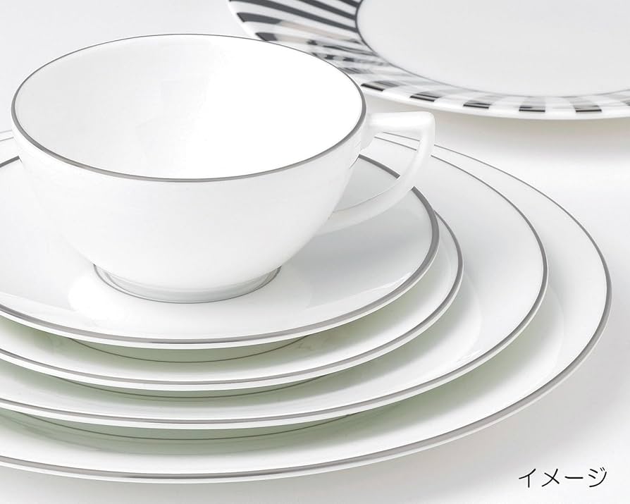 Amazon.com | Jasper Conran by Wedgwood Platinum Soup Plate 9