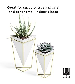Amazon.com: Umbra Trigg Desktop Planter Vase & Geometric Container