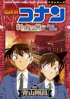 71ODP43cBPL._AC_UF350,