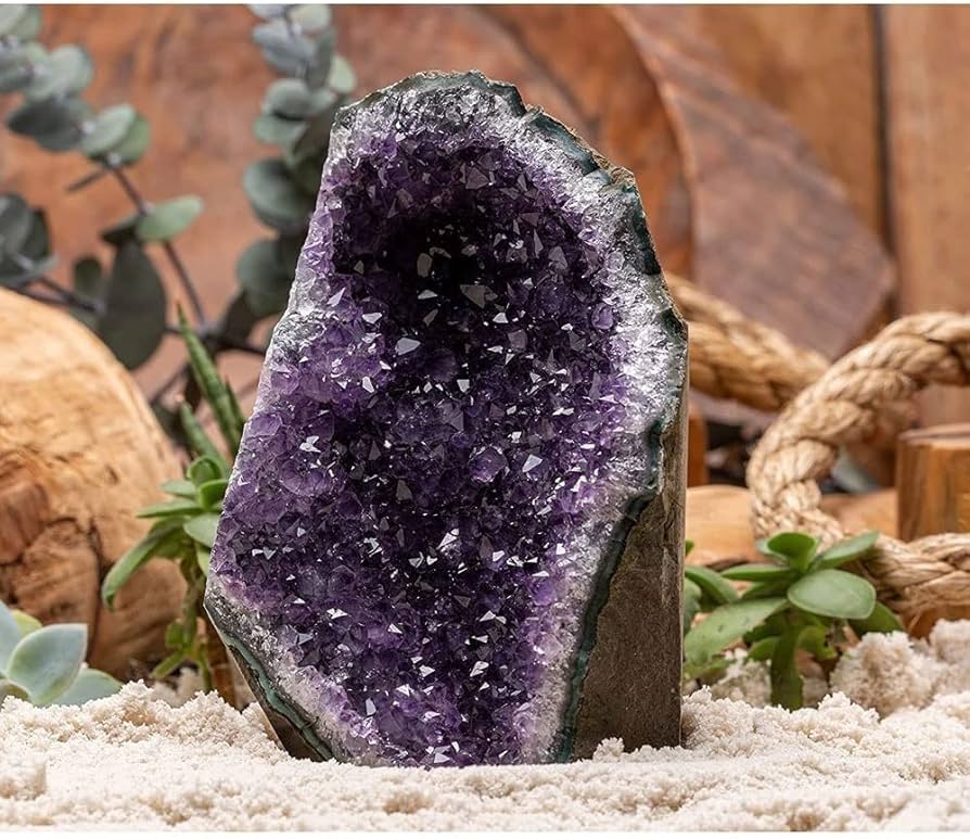 71OHFWB-swL._AC_UF894,