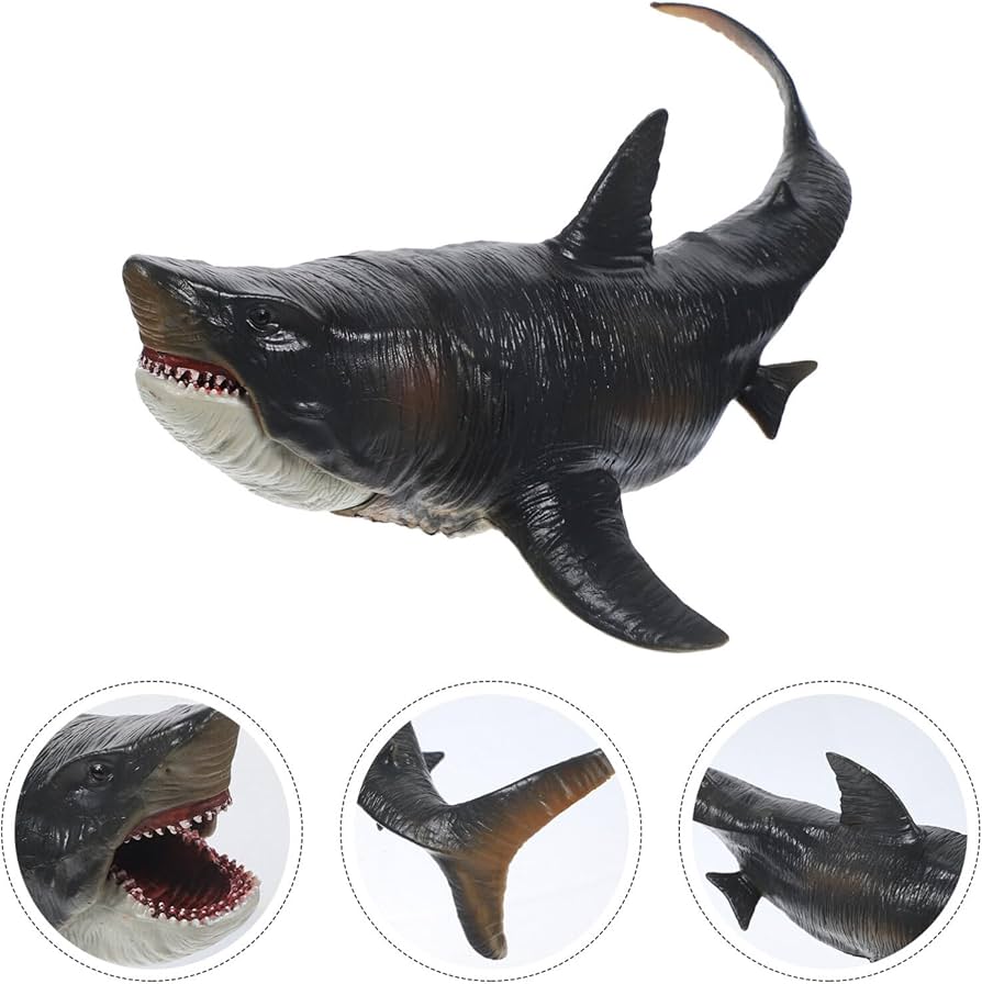 Amazon.co.jp: HOMSFOU サメ おもちゃ リアル サメ 置物