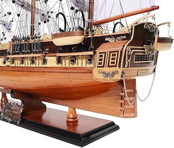 71P786ZaU8L._AC_UF350,