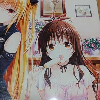 Amazon.co.jp: ToLOVEる15周年記念原画展 キャンパスアート F6サイズ