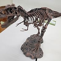 Amazon.co.jp: EDU-TOYS エデュトイ 恐竜工作 キット 51ピース