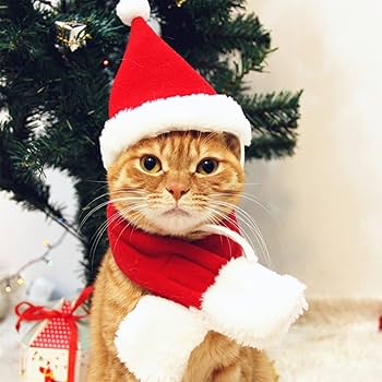 Amazon | ペット クリスマス サンタ帽子 カーフ 2点セット 猫犬用