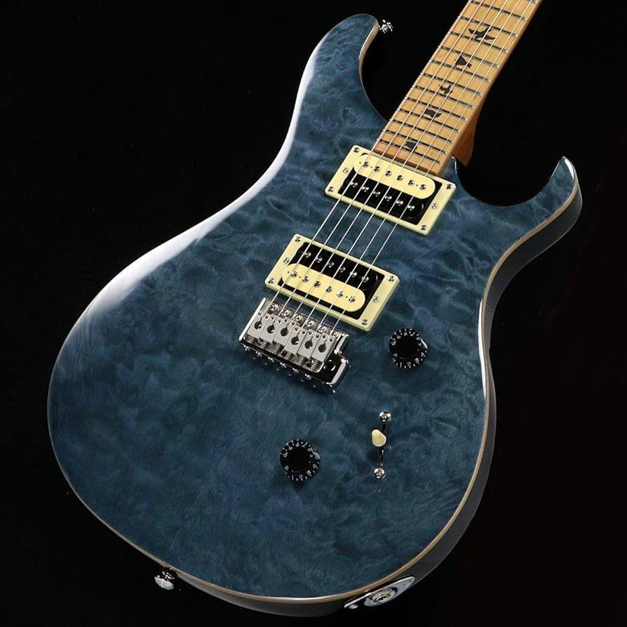 Amazon | PRS ポールリードスミス エレキギター SE Custom 24 Roasted