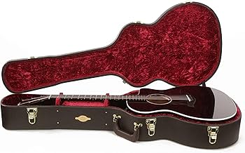 Amazon | Taylor 214ce-BLK デラックスグランドオーディトリウムシトカ