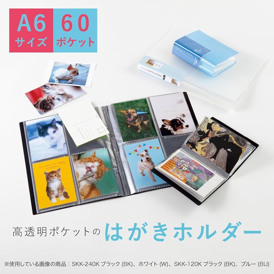 Amazon | SEKISEI アルバム ポケット はがきホルダー A6-S KGはがき120
