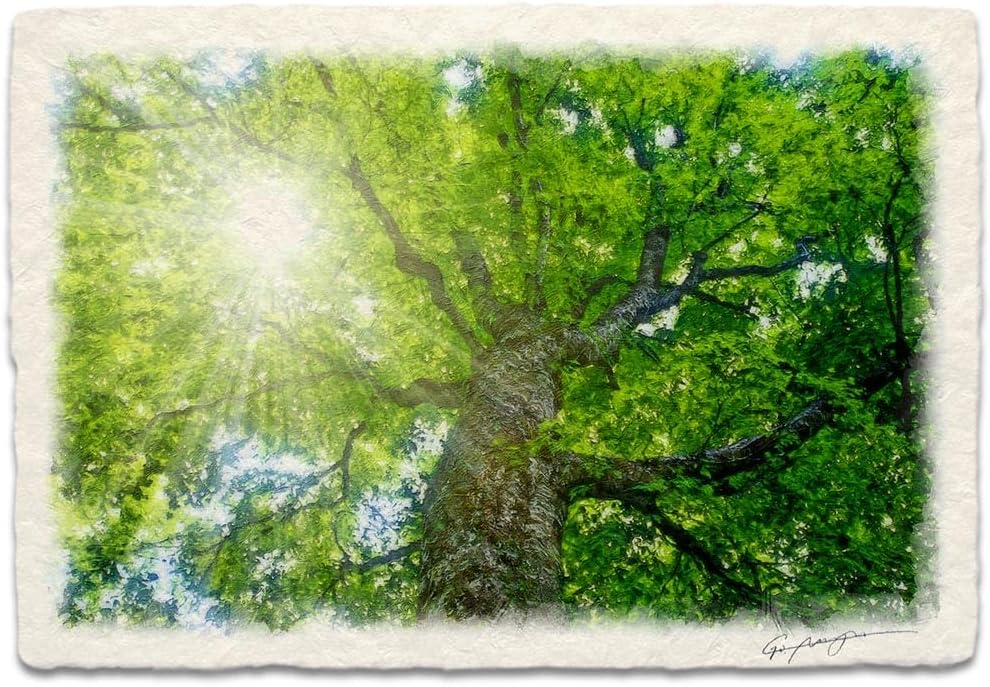 木洩れ日の通り》 風景画 「木漏れ日」 油絵 F8 油絵 風景画 F8号 38×