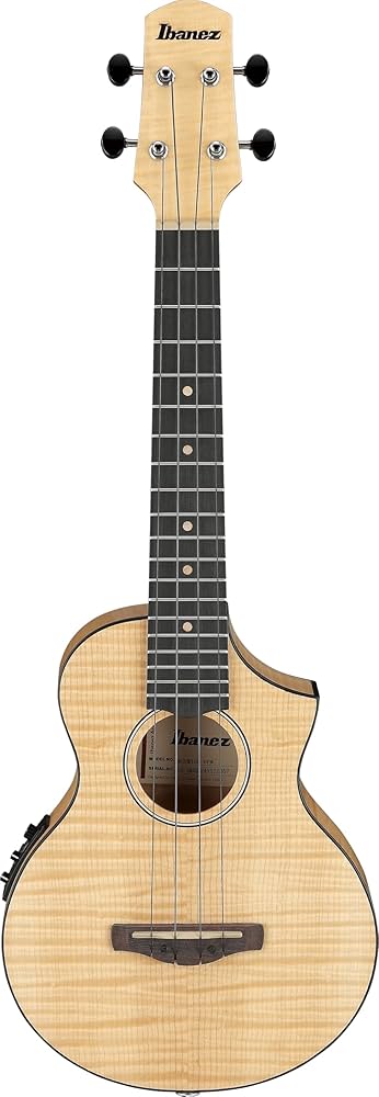 Amazon.co.jp: Ibanez/アイバニーズ コンサート・スタイル