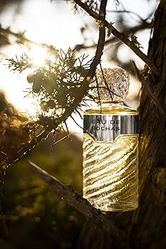 Amazon.com: Rochas Eau de Toilette, Citrus Chypre Woody, 3.3 fl