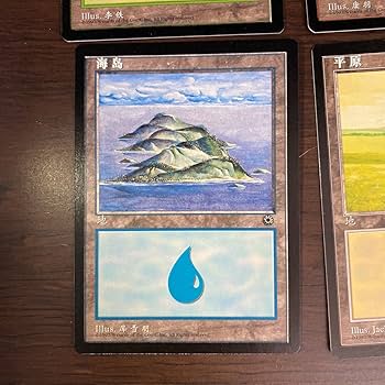 Amazon.co.jp: MTG 簡体字 POR 絵違い 土地 5種セット 中国語版