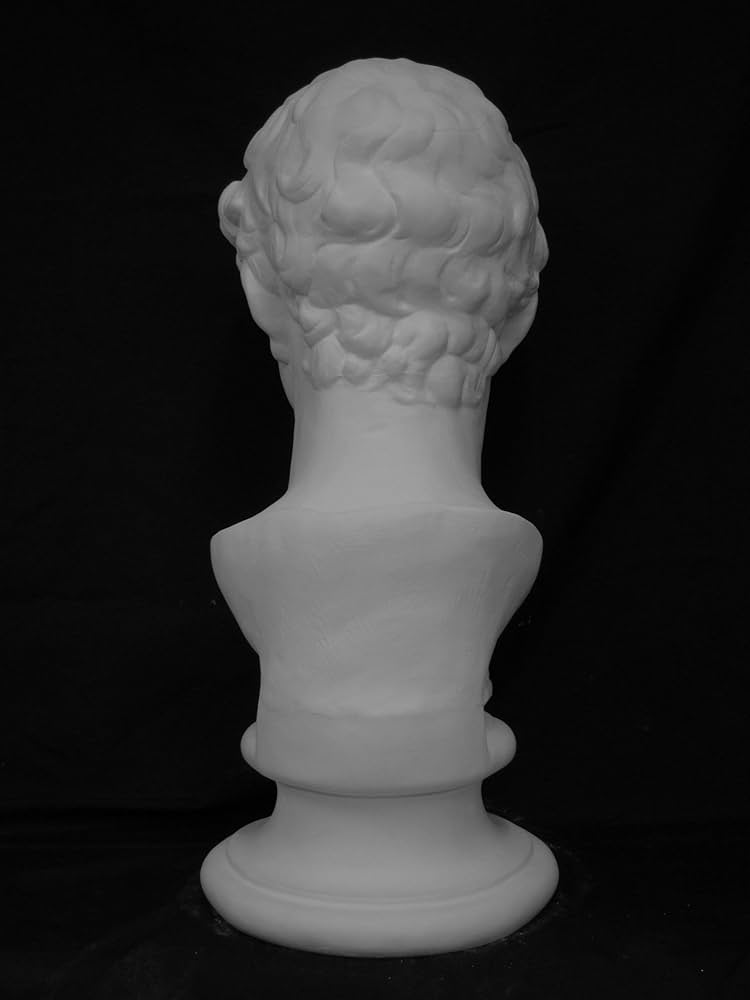 71QL7sx4MrL._AC_UF894,