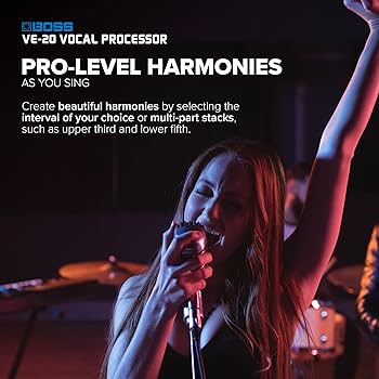 Amazon.com: BOSS VE-20 Vocal Performer | Specialized Effects Unit